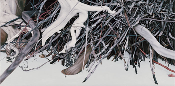 Franziska Rutishauser mit dem Titel: Palmwurzeln klein, 2005