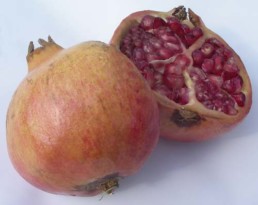 Granatapfel Foto: Hans-Oiseau Kalkmann