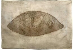von Windheim, Dorothee, „Callis W2 Auge“, 1996/2001 Chloroplasten auf Musselin, Nähseide, Wachs Sammlung Kalkmann Bodenburg